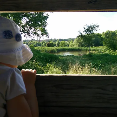 Guest house Room29 Rome